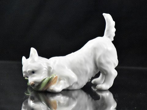 RC figur
3476
Terrier med slippers