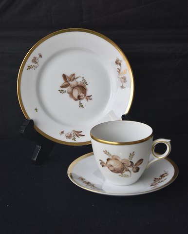 Royal Copenhagen
Brun rose
kaffe og spisestel