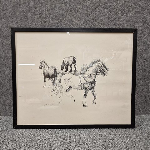 Per Illum
Tegning 
Tre heste