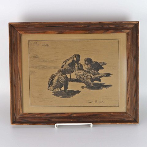 Vilhelm Th. Fischer radering
Gråspurve
38,5 cm