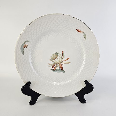 B&G tallerken
25
Kaktus
24,5 cm