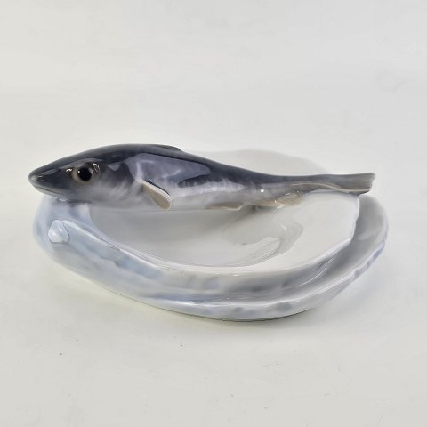 RC skål
Fisk på skaller
618 159