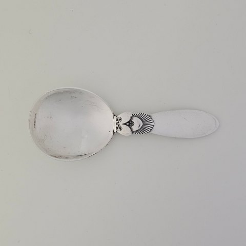 GJ kompotskeKaktusSterling