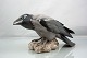 B&G figur
1714
Krage