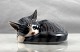 RC figur
1025 - 422
Sovende kat